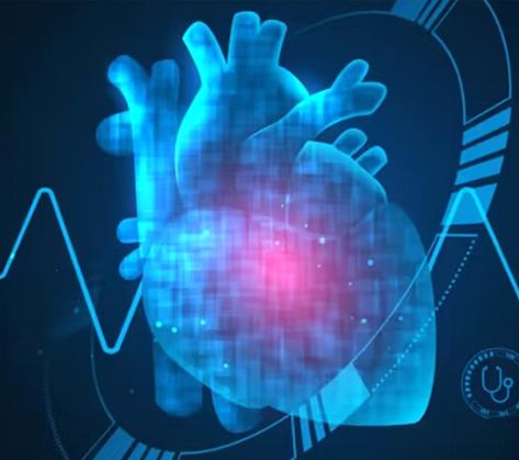 ���ĸߡ�Σ��������