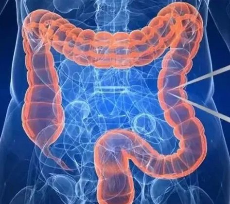 ������Ⱥ��ֲ