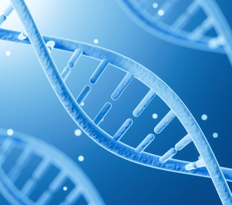 APOE������